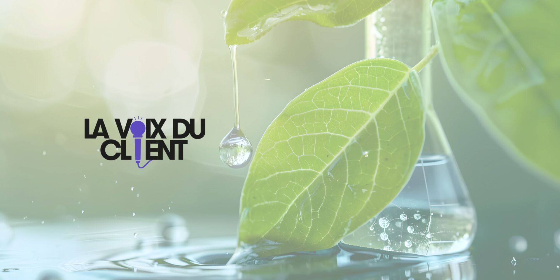 Goutte d'eau tombant d'une feuille verte avec le logo La Voix du Client, symbolisant la nature et la précision scientifique du Laboratoire Dayang