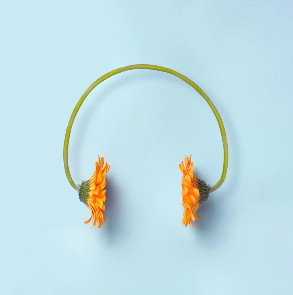 Casque audio fabriqué avec des fleurs orange sur un fond bleu 